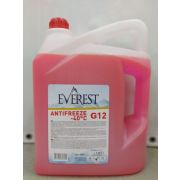 Антифриз EVEREST G12 красный 5кг APSEVR005R